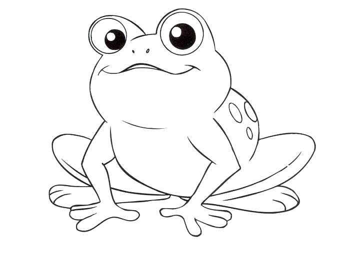 Frog Coloring Pages Frog Coloring Book Inspirational Cartoon Frog 700x547 Frog Coloring Pages Frog Coloring Book Inspirational Cartoon Frog