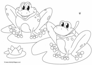 Frog Colouring Pages 320x226 Frog Colouring Pages