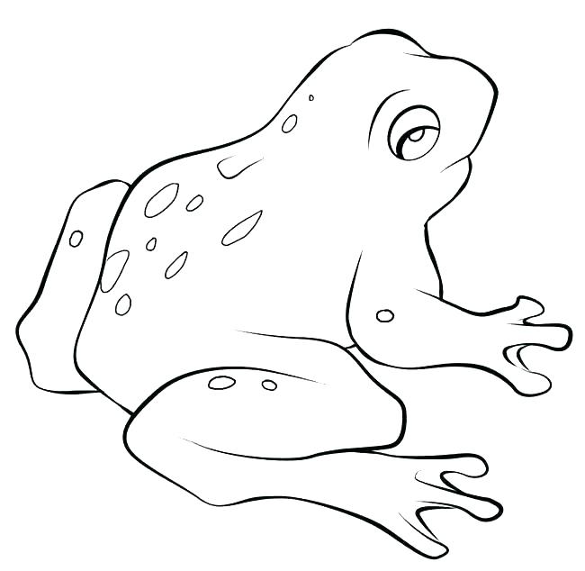Great Frog Coloring Pages For Coloring Pages Printable With Fancy 650x634 Great Frog Coloring Pages For Coloring Pages Printable With Fancy