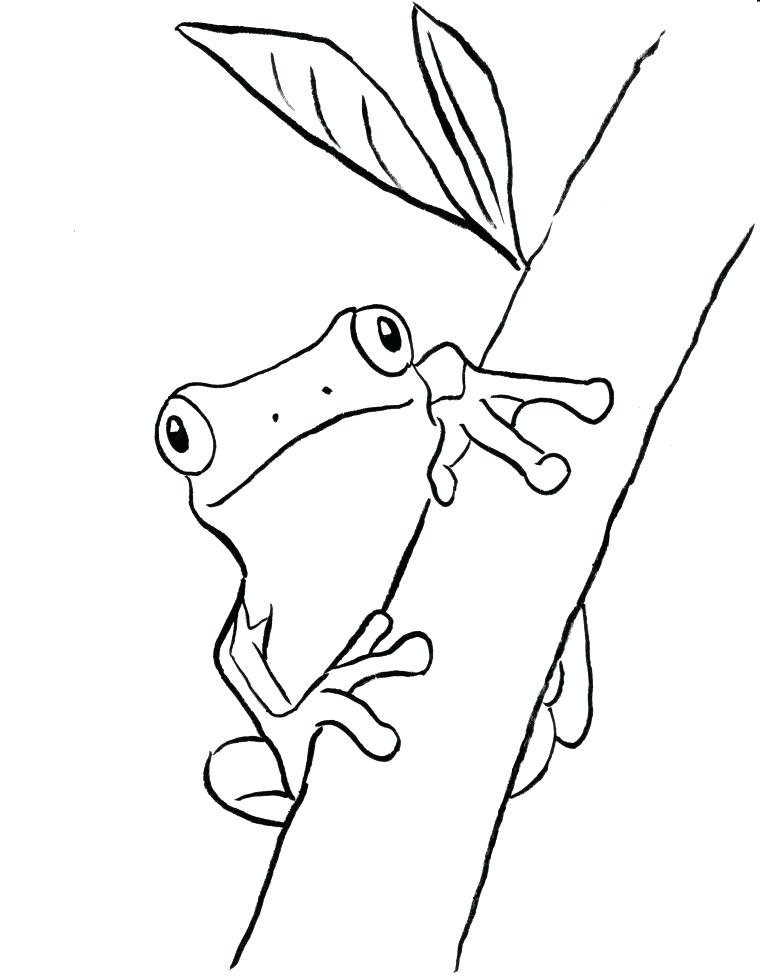 Bell Coloring Pages Print Frog Coloring Pages Stock Tree Frog 760x976 Bell Coloring Pages Print Frog Coloring Pages Stock Tree Frog