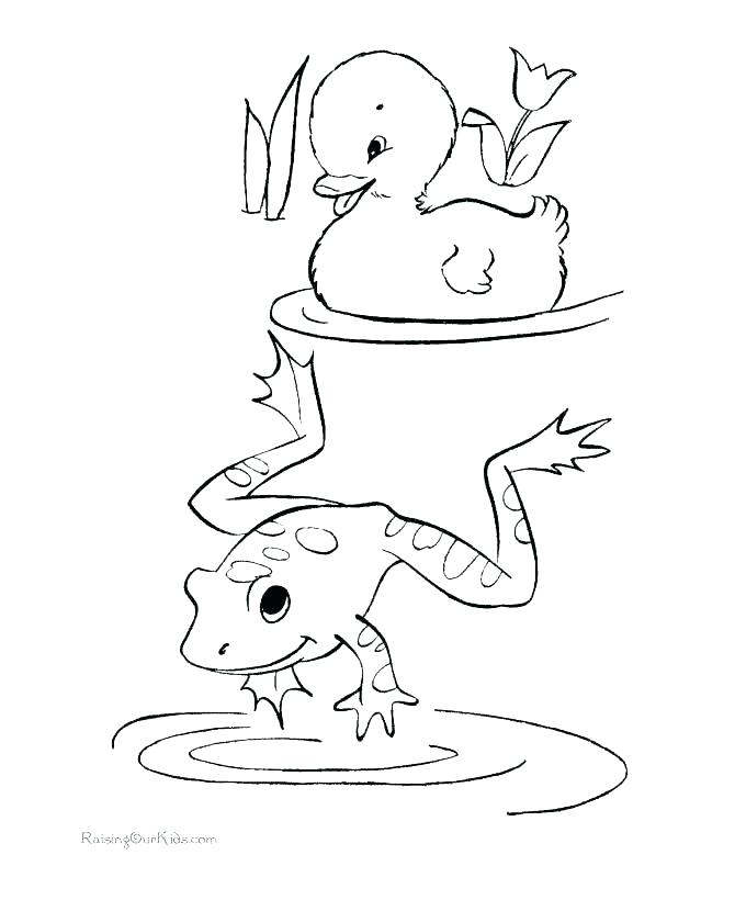 Frog Coloring Pages Cute Frog Coloring Pages Cute Frog Coloring 670x820 Frog Coloring Pages Cute Frog Coloring Pages Cute Frog Coloring