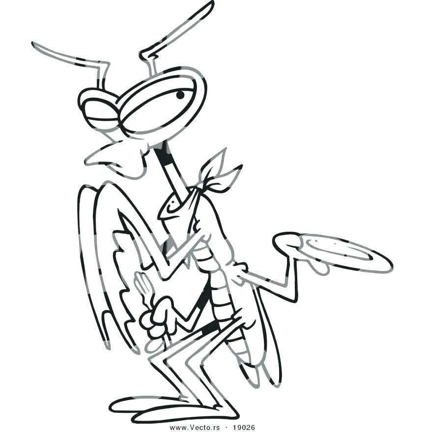 Life Cycle Coloring Pages Praying Mantis Coloring Page Coloring 863x880 Life Cycle Coloring Pages Praying Mantis Coloring Page Coloring