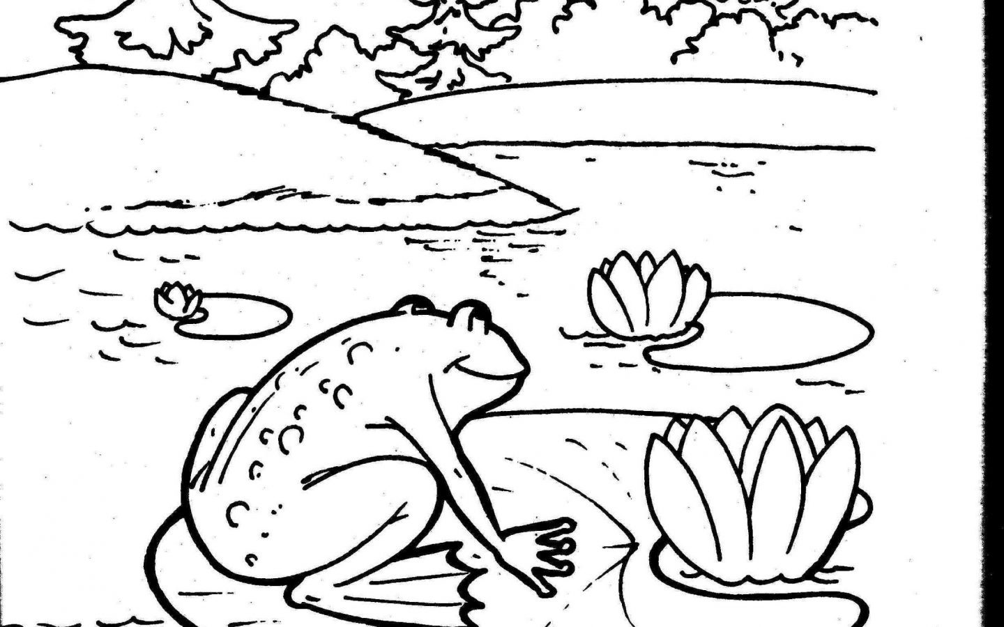 Marvellous Coloring Frog Mask Page Life Cycle Of Animals Printable 1440x900 Marvellous Coloring Frog Mask Page Life Cycle Of Animals Printable