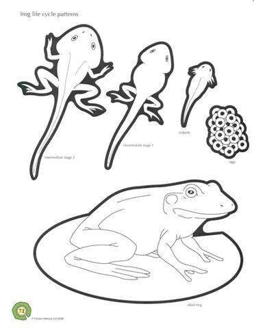 Coloring Page Life Cycle Worksheets Frog Life 371x480 Coloring Page Life Cycle Worksheets Frog Life