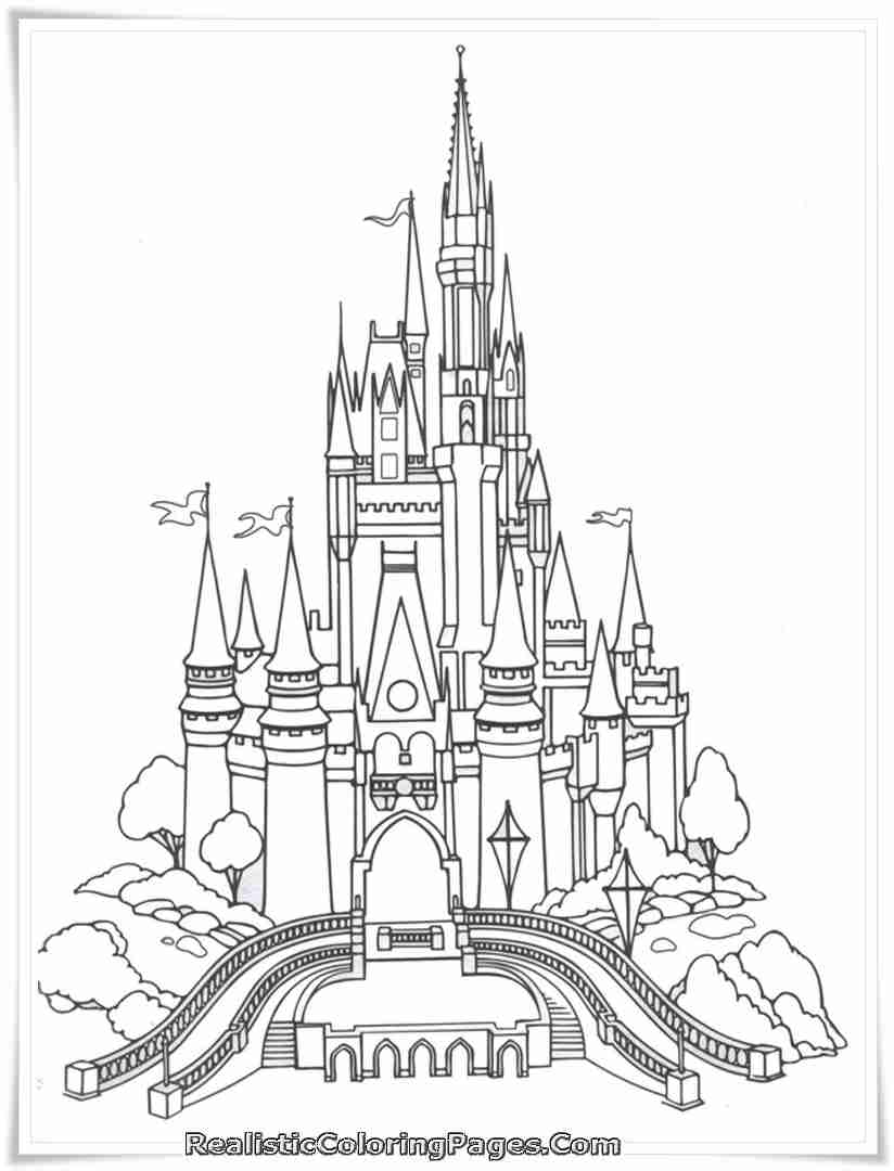 824x1080 Castle Coloring Pages For Adults Fair Frozen Olegratiy