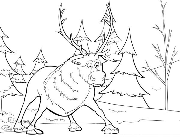 Sven From Disney Movie Frozen Coloring Page 600x464 Sven From Disney Movie Frozen Coloring Page
