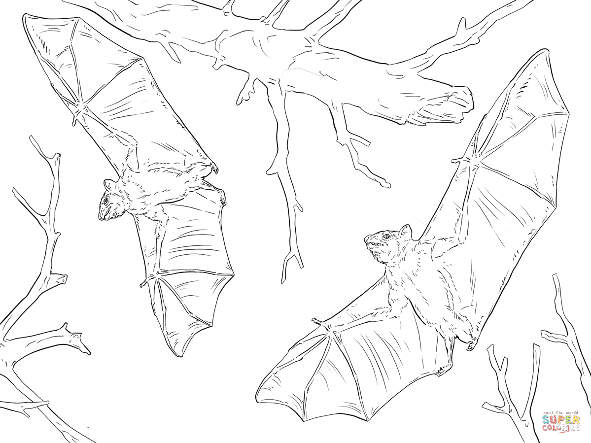 Bat Coloring Pages 1199x899 Bat Coloring Pages