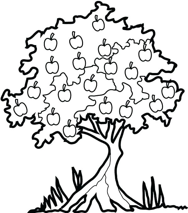 Coloring Page Apple Fruit Coloring Pages For Preschoolers Apple 600x680 Coloring Page Apple Fruit Coloring Pages For Preschoolers Apple