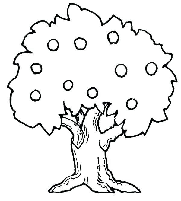 Oak Tree Coloring Page Coloring Pages Draw A Tree Fruit Tree 600x666 Oak Tree Coloring Page Coloring Pages Draw A Tree Fruit Tree