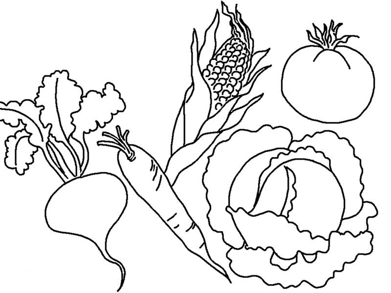 Vegetable Coloring Pages Fruits Vegetables Coloring Pages 800x600 Vegetable Coloring Pages Fruits Vegetables Coloring Pages