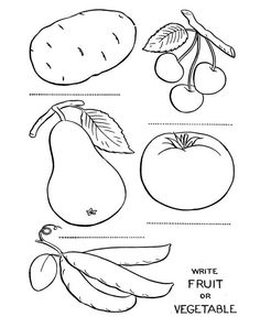 Fruit And Vegetable Coloring Pages 236x288 Fruit And Vegetable Coloring Pages