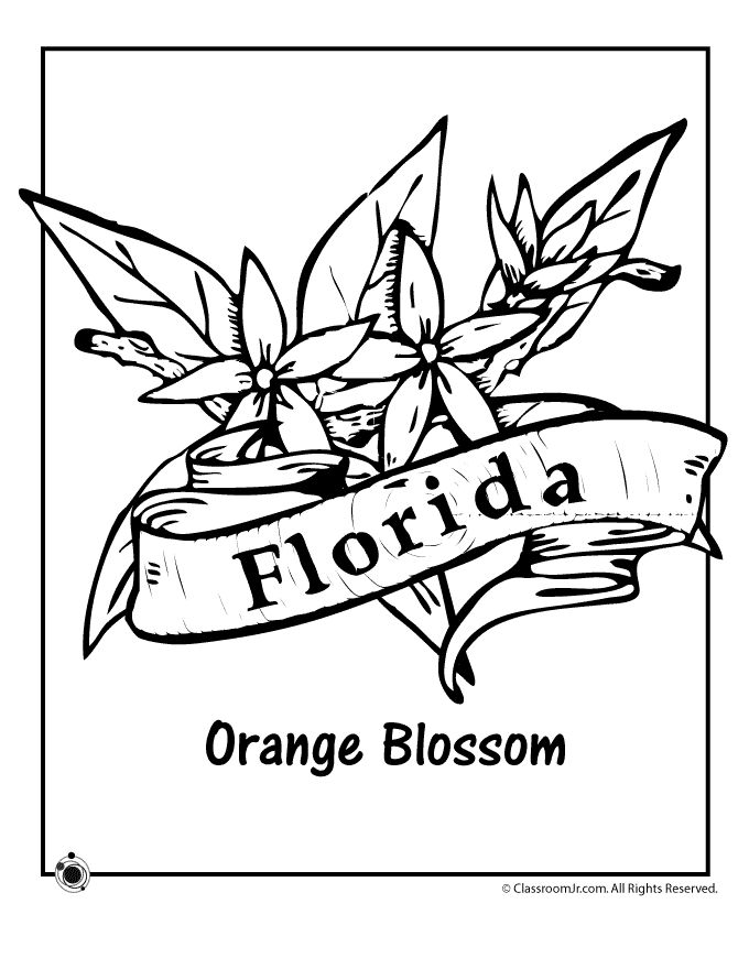 85 Best Florida Images On Coloring Books, Coloring 680x880 85 Best Florida Images On Coloring Books, Coloring