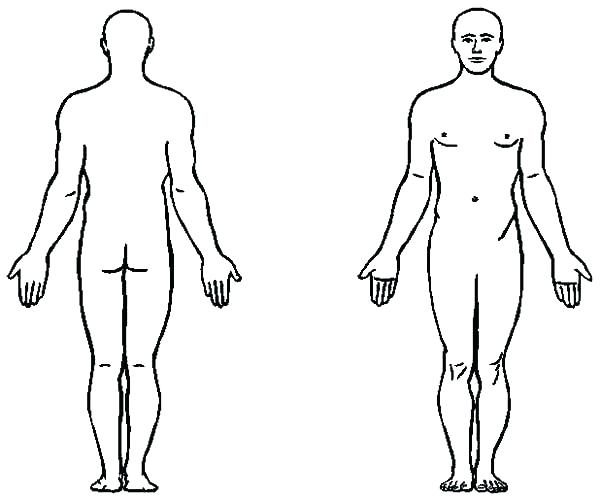 600x500 Human Body Coloring Pages Body Coloring Human Body Coloring Page