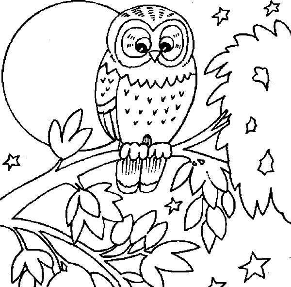 600x591 Full Size Coloring Pages Coloring Page
