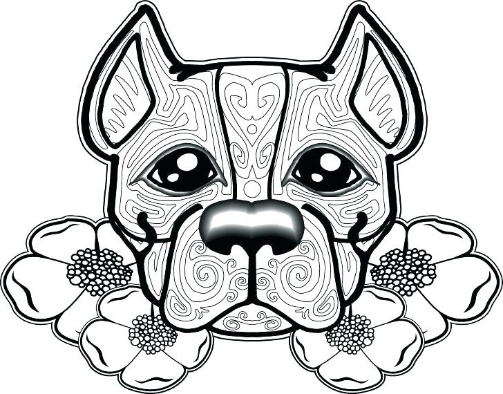 Pitbull Coloring Page Coloring Page Medium Size Of Coloring Pages 728x570 Pitbull Coloring Page Coloring Page Medium Size Of Coloring Pages