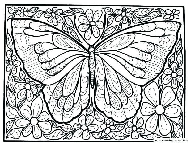 618x465 Coloring Pages Of Butterflies For Adults 5 Pages Butterfly Garden