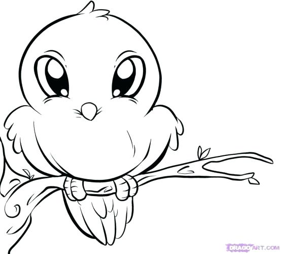 554x500 Cute Coloring Pages How To Draw A Cute Bat Step 6 Recipes To Try