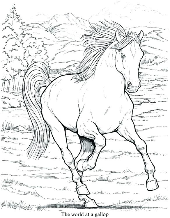 Fun Coloring Pages For Older Kids Fun Colori Pages For Older Kids 584x750 Fun Coloring Pages For Older Kids Fun Colori Pages For Older Kids