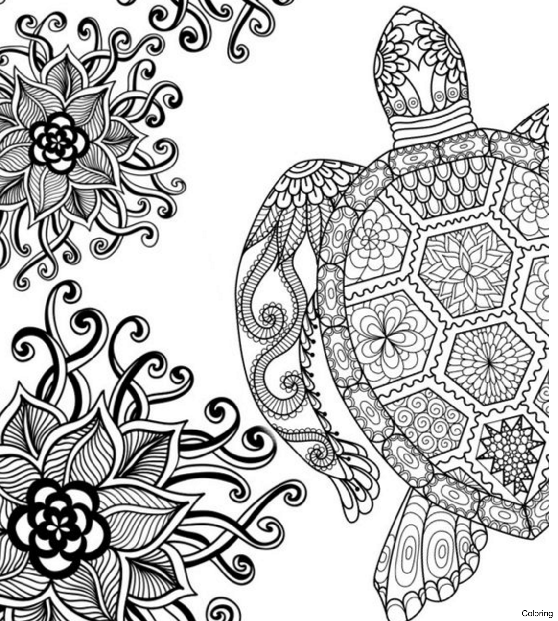 1140x1268 Turtle Adult Coloring Pages