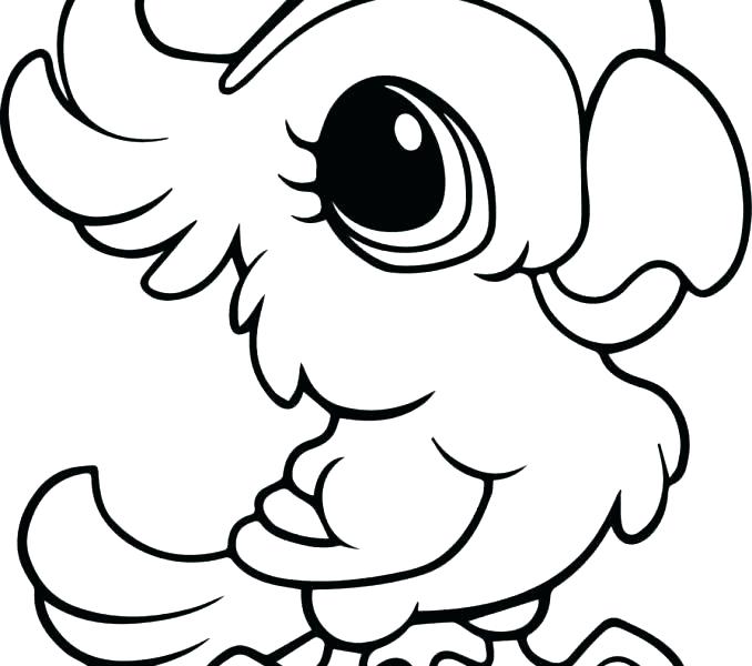 Funny Animal Coloring Pages Exciting Funny Coloring Pages On Funny 678x600 Funny Animal Coloring Pages Exciting Funny Coloring Pages On Funny