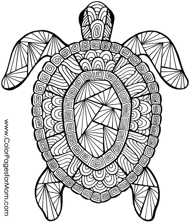 Coloring Page Animals Turtle Mandala Coloring Pages Printable 640x755 Coloring Page Animals Turtle Mandala Coloring Pages Printable