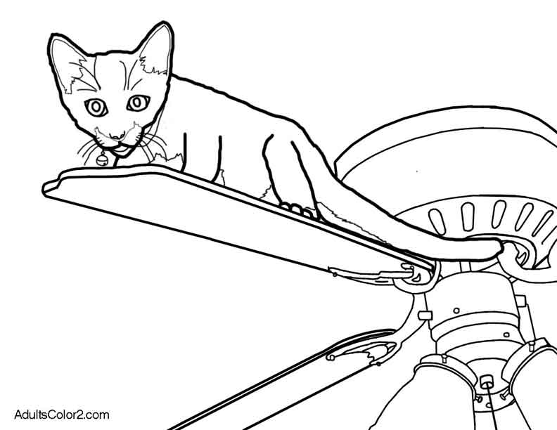 Aww Cute Cat Coloring Pages 792x612 Aww Cute Cat Coloring Pages