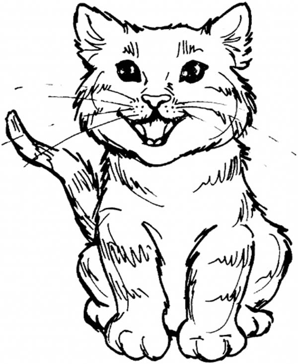Funny Cat Coloring Pages Funny Cat Coloring Pages Funycoloring 600x731 Funny Cat Coloring Pages Funny Cat Coloring Pages Funycoloring