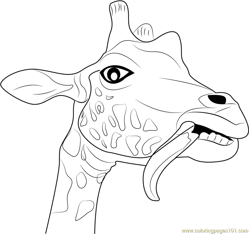 Giraffe Funny Face Coloring Page 799x752 Giraffe Funny Face Coloring Page