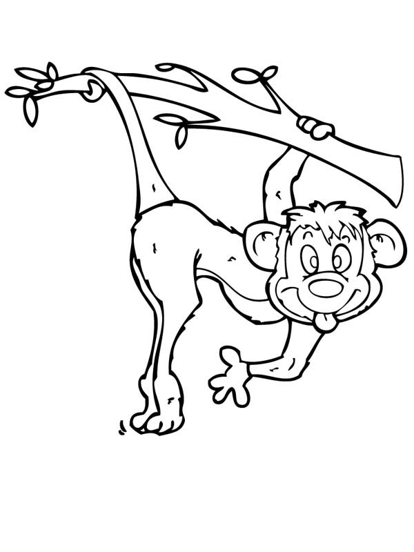 Monkey Make Funny Monkey Face Coloring Page 600x800 Monkey Make Funny Monkey Face Coloring Page