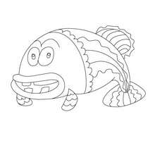 Funny Fish Coloring Pages 220x220 Funny Fish Coloring Pages