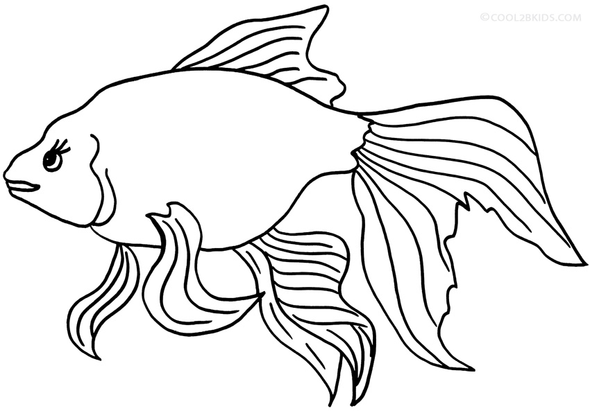 Christmas Coloring Pages Goldfish 850x593 Christmas Coloring Pages Goldfish