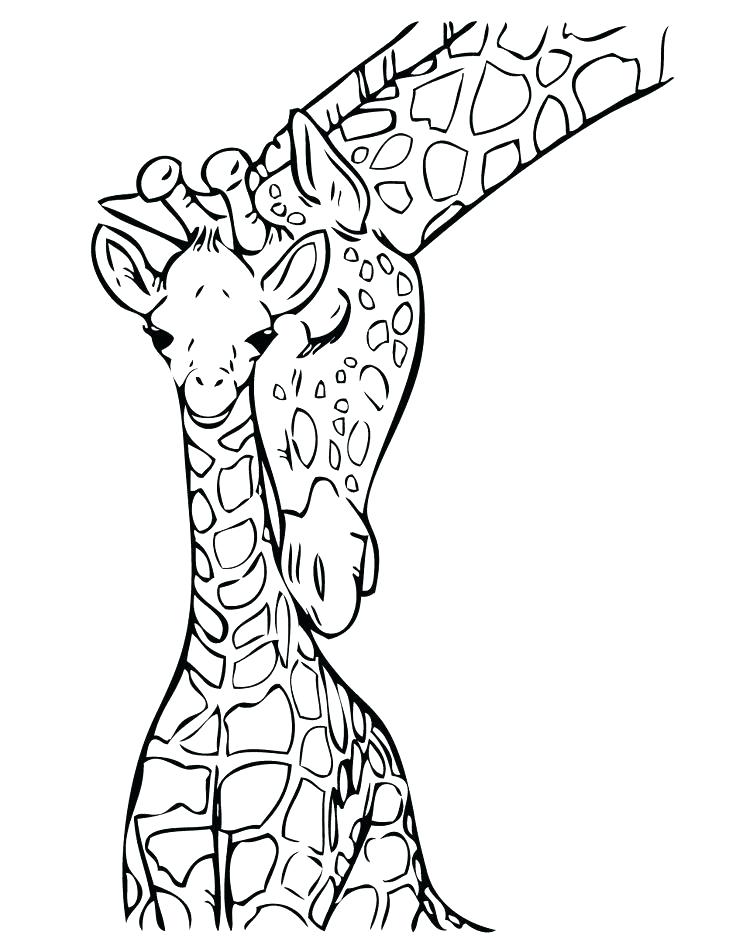 Cute Giraffe Coloring Pages Baby Giraffe Coloring Pages As Well As 736x952 Cute Giraffe Coloring Pages Baby Giraffe Coloring Pages As Well As
