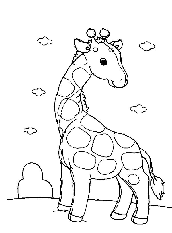 Funny Giraffe Coloring Page 600x812 Funny Giraffe Coloring Page