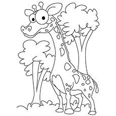Top 20 Free Printable Giraffe Coloring Pages Online Giraffe, Big 230x230 Top 20 Free Printable Giraffe Coloring Pages Online Giraffe, Big