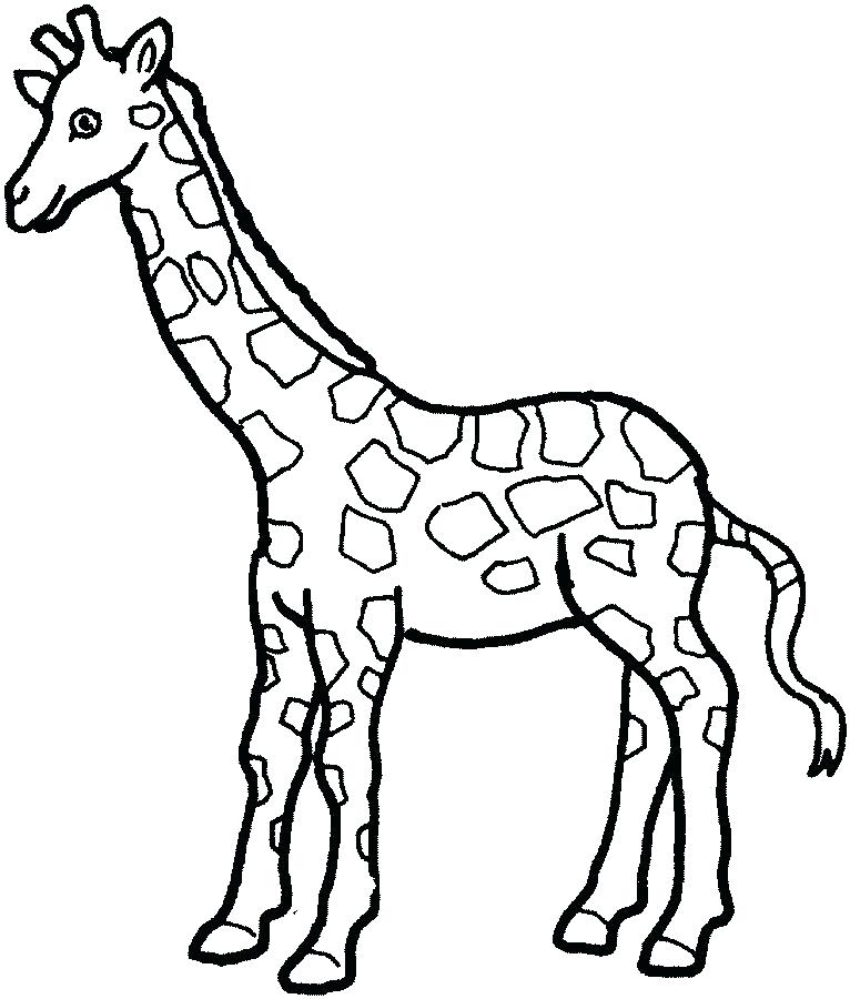 Coloring Pages Of Giraffes Giraffe Coloring Pages For Adults Funny 766x900 Coloring Pages Of Giraffes Giraffe Coloring Pages For Adults Funny