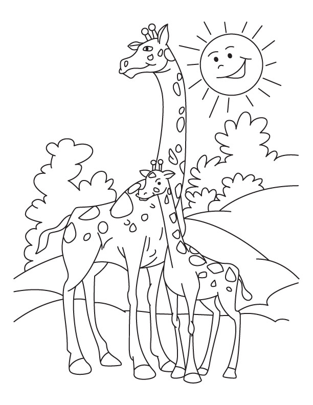 Coloring Pictures Of Giraffes Free 612x792 Coloring Pictures Of Giraffes Free