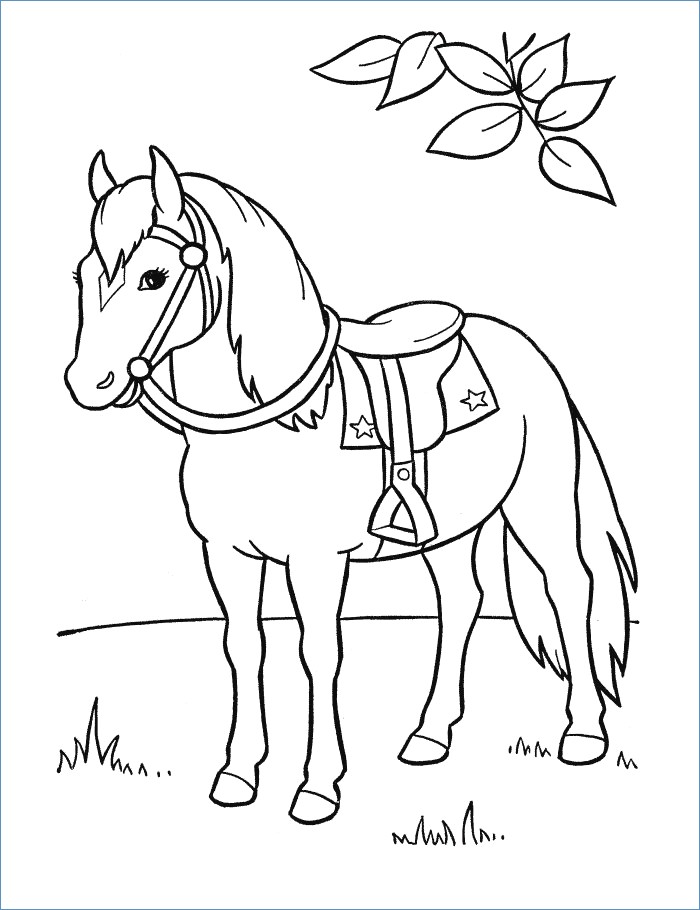 Circus Horse Animal Coloring Page 700x910 Circus Horse Animal Coloring Page