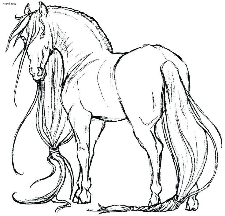 Coloring Horse Pages Funny Horse Funny Horse Online Coloring 736x707 Coloring Horse Pages Funny Horse Funny Horse Online Coloring