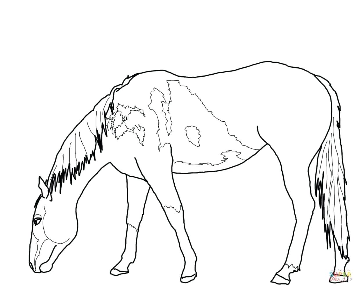 Coloring Pages Online Printable Wild Horses 2 Funny Horse Running 1232x992 Coloring Pages Online Printable Wild Horses 2 Funny Horse Running