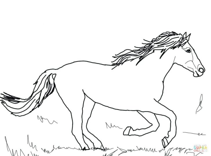 Funny Horse In Horses Coloring Page Wild Pages To Print Mustang 728x540 Funny Horse In Horses Coloring Page Wild Pages To Print Mustang