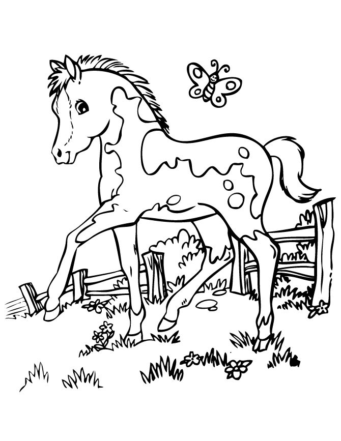 Baby Horse Coloring Pages 670x867 Baby Horse Coloring Pages
