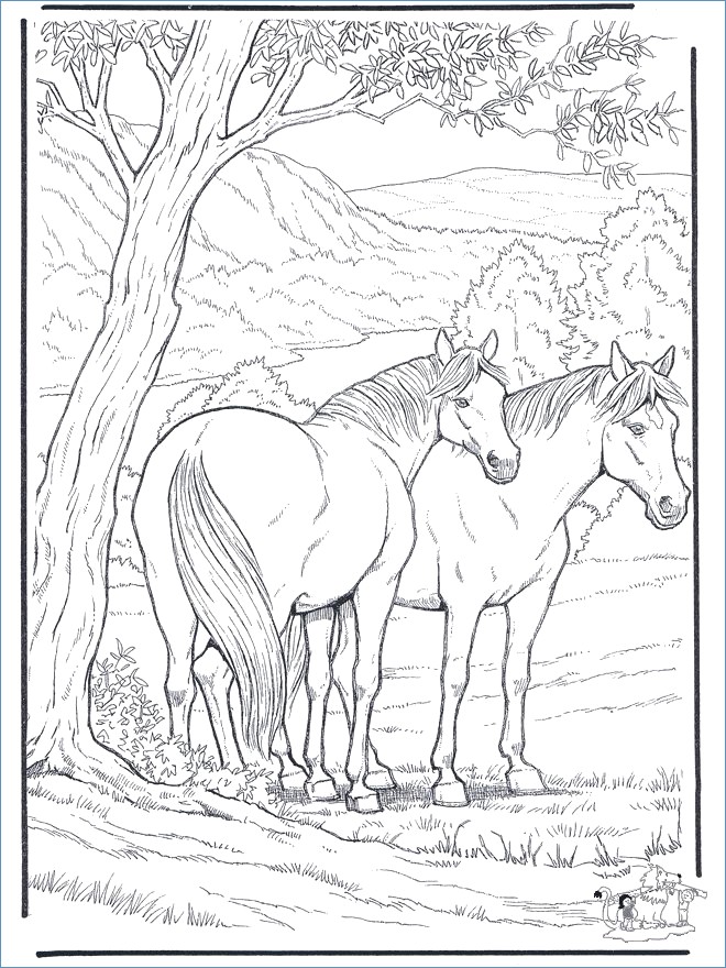 Beautiful Horse Coloring Page 660x880 Beautiful Horse Coloring Page