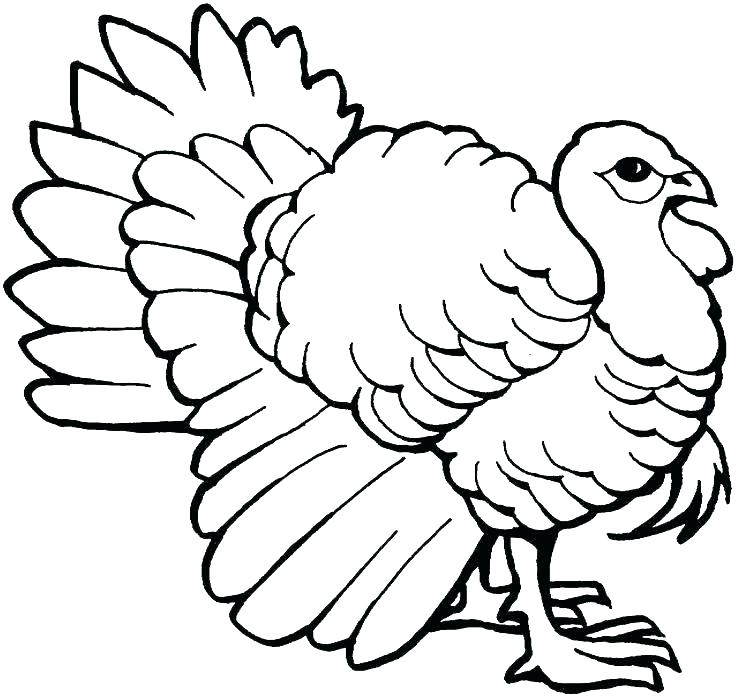 Thanksgiving Free Printable Coloring Pages Coloring Page Turkey 736x697 Thanksgiving Free Printable Coloring Pages Coloring Page Turkey
