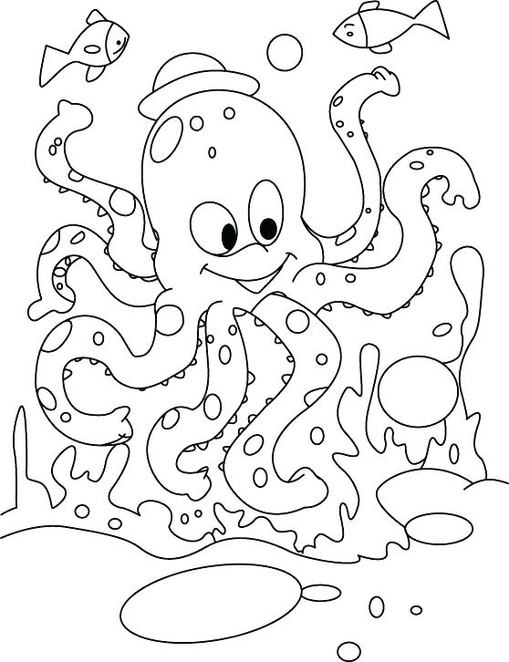 Funny Coloring Pictures Octopus Funny Turkey Coloring Page 558x726 Funny Coloring Pictures Octopus Funny Turkey Coloring Page