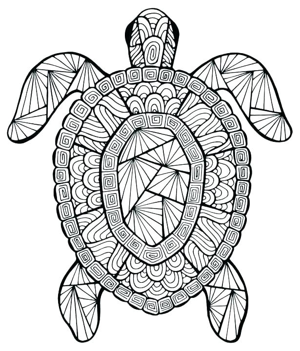 Baby Turtle Coloring Pages Best Turtle Coloring Page 615x720 Baby Turtle Coloring Pages Best Turtle Coloring Page