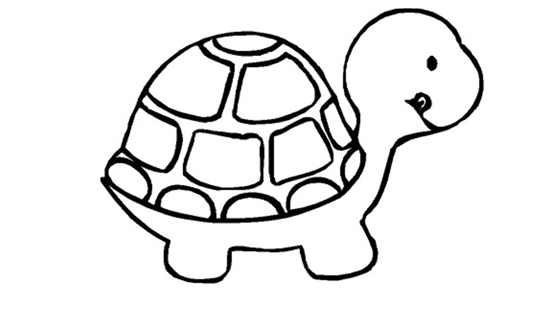 Turtle Color Pages Timykids 1920x1080 Turtle Color Pages Timykids