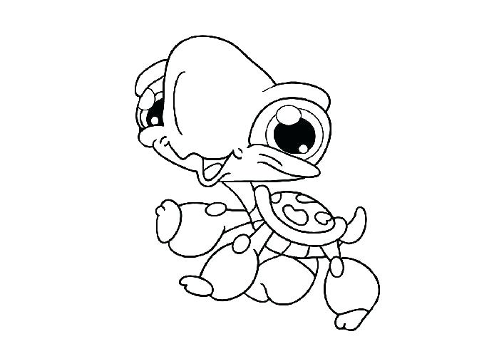 Baby Turtle Drawing Print Out Baby Turtle Coloring Book Pages Baby 700x500 Baby Turtle Drawing Print Out Baby Turtle Coloring Book Pages Baby