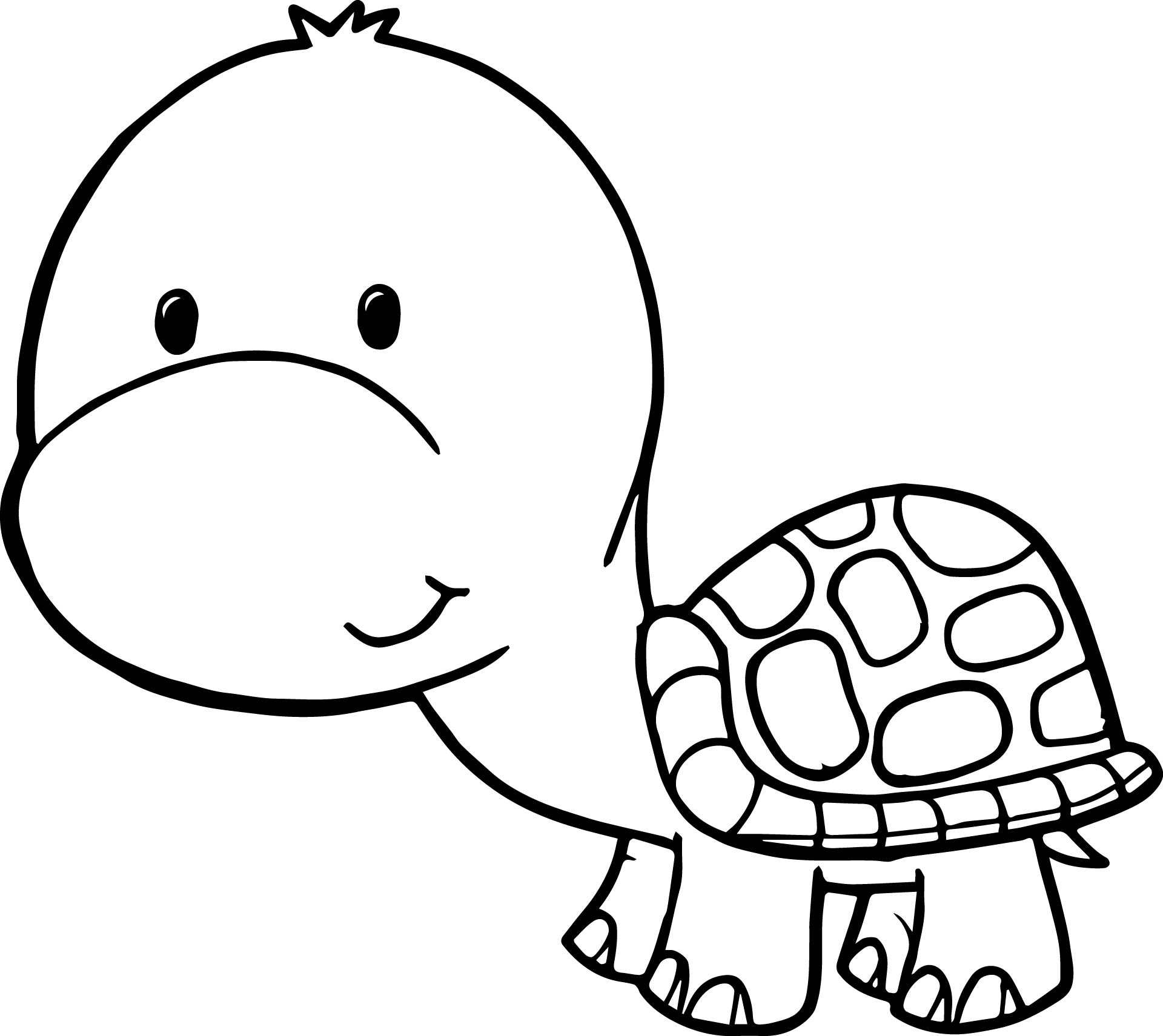 Cartoon Turtle Coloring Pages Cartoon Turtle Coloring Pages Cute 1920x1711 Cartoon Turtle Coloring Pages Cartoon Turtle Coloring Pages Cute