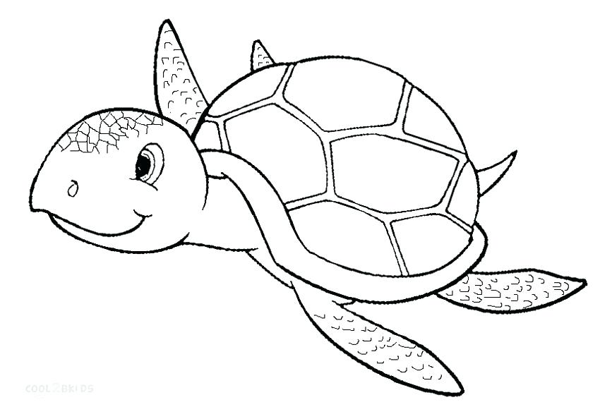 Coloring Sea Coloring Sea Animals Technolife.site 850x594 Coloring Sea Coloring Sea Animals Technolife.site