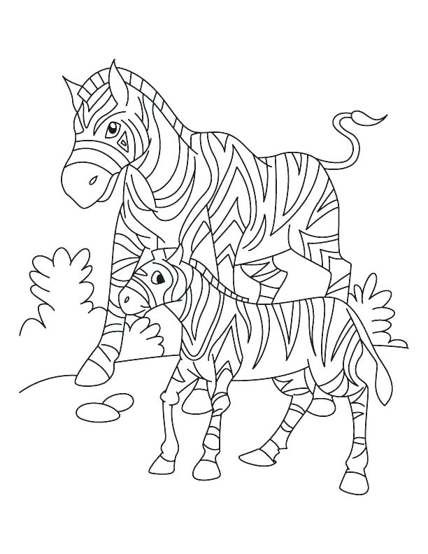612x792 Baby Zebra Coloring Pages Zebra Coloring Pages Pictures